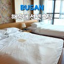 웨이브타운(선셋호텔) 이미지