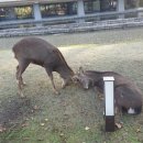 드림게스트하우스 이미지