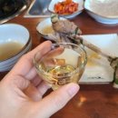 봉곡동179 | 구미 봉곡동 맛집 부모님 외식으로 좋은 보양식 능이버섯이 들어간 백숙이 맛있는 '능이백숙 천지랑놀자...