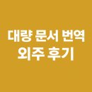 전문 번역업체 후기 : 월시스 월드번역원 - 기술용어가 많았던 의뢰