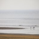 바다가까이민박 이미지