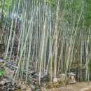 치산123민박 이미지