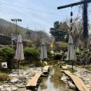 경기도 광주시 퇴촌작은도서관 | 퇴촌 식물원 카페, 경기도 광주 봄 나들이 추천! '퇴촌식물원'