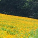 병방산군립공원 이미지