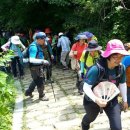 대구지부 산악동호회 '약산회', [약사공론]소개....함께 땀흘리며 64개 산 등반 이미지