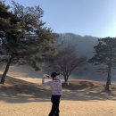 프로필드 이미지