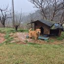 원북농장 이미지