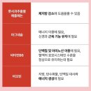 아일로 마그번 코어컷 앰플 | 올영 세일 내돈내산 후기