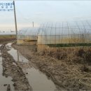 소로3-125 네이버블로그