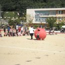 고령초등학교 이미지