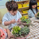 송림초등학교(병설) 이미지