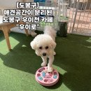 도봉-도봉-서울도봉-2520 이미지