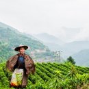 유성농장 4농장 이미지