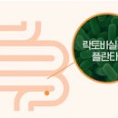 바이오릭스 이미지