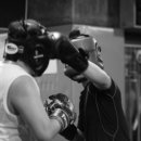 엑스오짐 이미지