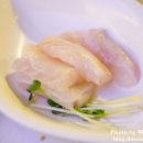 차야(chaya)