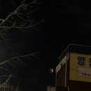 26年 3月