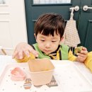 드포레스트 이미지