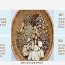 거북이한의원 이미지