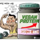 프로틴더하다 이미지