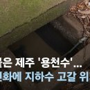 말라붙은 제주 '용천수'…기후변화에 지하수 고갈 위기 / 지하수 다 쓴 현장을 가다…농업포기- 이미지