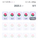 샐럽 - 광진구 능동로13길 75 | 샐럽