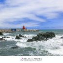 주전어촌체험마을 이미지