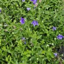 하은농장 이미지