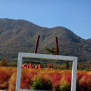 황산공원 이미지