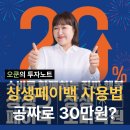 실생활 디지털 활용법 | 상생페이백 지원금 사용방법 디지털온누리상품권 사용처 후기