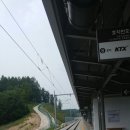 김태경 농장 | 아굴라 블루베리 농장