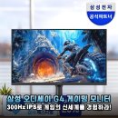300Hz IPS 패널 탑재! 삼성 오디세이 G4 게이밍 모니터 솔직 후기