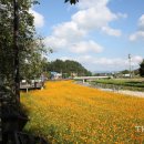 금산천 데크길 이미지