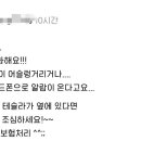 문콕으로 보험처리 했다는 테슬 라 차주 이미지