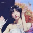 팡팡 이미지