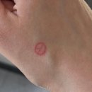 상망동 행정복지센터 3층 체력단련실 | [안산 일상] 사전투표 다녀온 후기🗳️ 생각보다 빨리 끝났다!