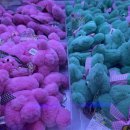 대빵인형뽑기(마곡점) 이미지