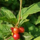 이수 행정사 사무소 이미지