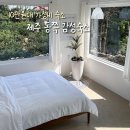 제주도 동쪽 가성비 감성숙소 10만원대 (제주 이듬, 귤림재, 셀러리 제주, 산책자의 집)