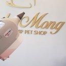 베이비 몽 이미지