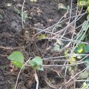 황기슈퍼 이미지