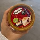 세븐일레븐석남새벽점 | 2만5천원의 기적!! 다카마츠 나오시마 여행