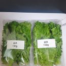 싱싱한 농업회사법인 주식회사 네이버블로그