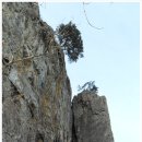 송계목장 이미지