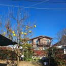 별장모텔 | 경주펜션 반려견 동반 부부의 힐링 숙소 라온펜션 은가비 객실 후기