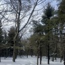 약속의 바다 | 3월 선자령 폭설 후기 / 약속의 땅 백패킹 3대 성지 당일치기