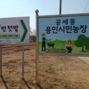 씨돌농장 이미지