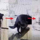 한절농장 이미지