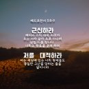 [베드로전서 5:8-9] 근신하라 깨어라 너희 대적 마귀가 우는 사자 같이 두루 다니며 삼킬 자를 찾나니 너희는 믿음을 굳게 하여 이미지