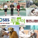 멍즈니랜드 이미지